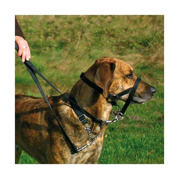 13001-trxi-var-1_ewgx-cn