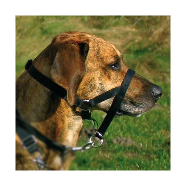 13001-trxi-var_j6lx-ia