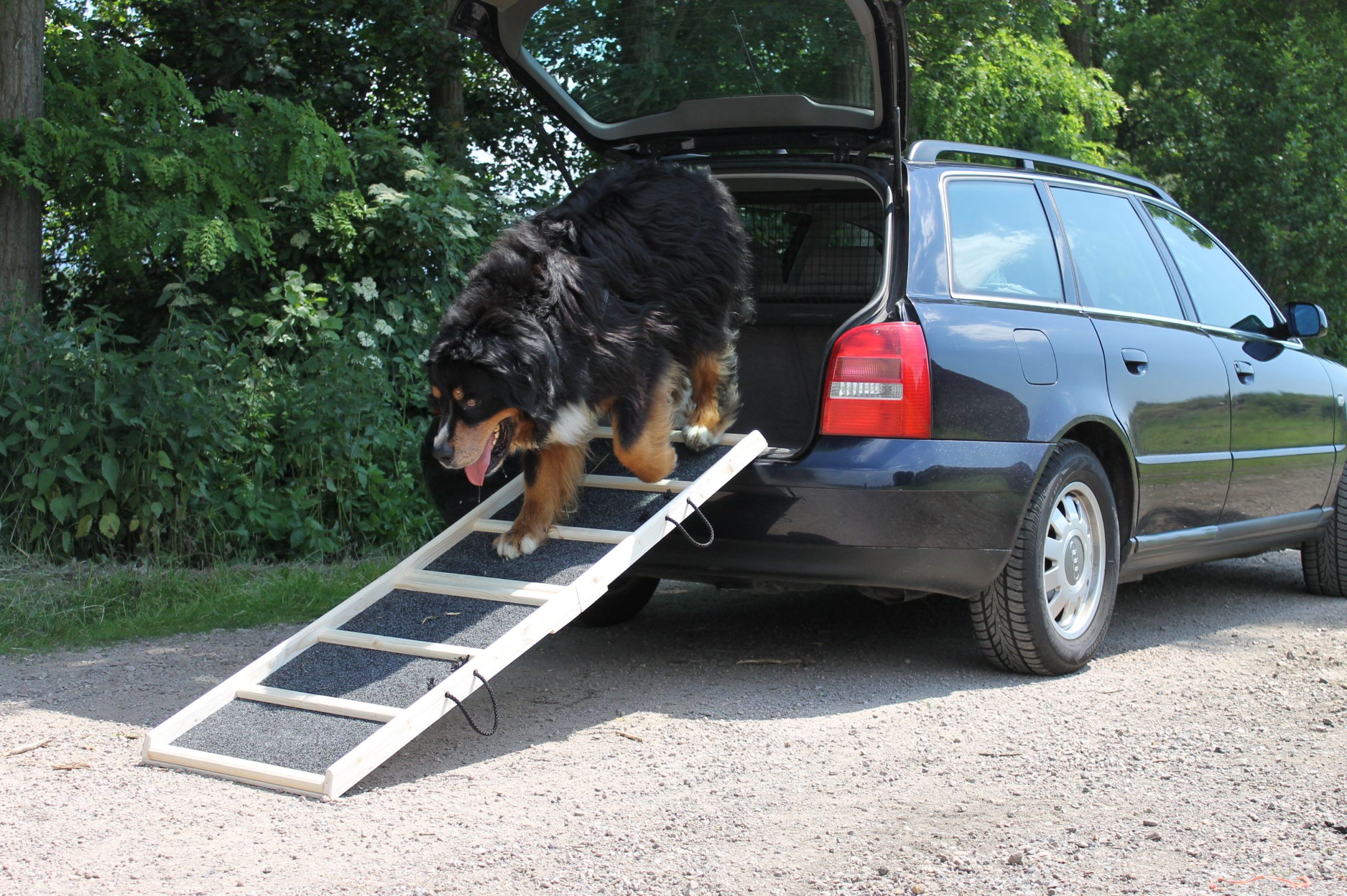 160x50_Komfort_natur_Rasen_3