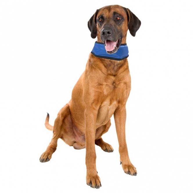 Karlie Flamingo Kühlbandana Fresk - S (15 - 25 cm) – Bild 4