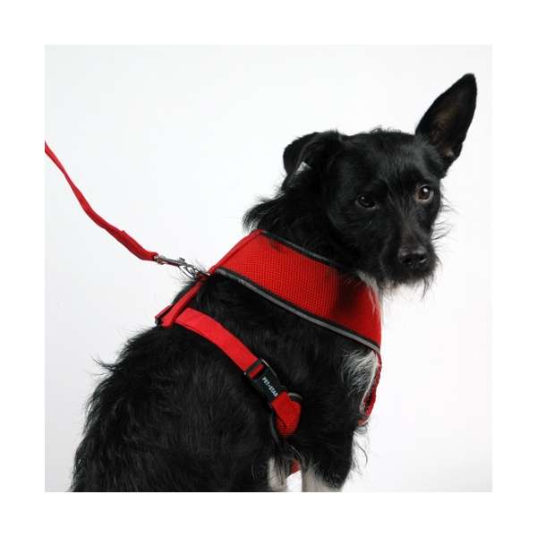 Pet-Star Softgeschirr / Netzgeschirr - Rot - XL – Bild 5