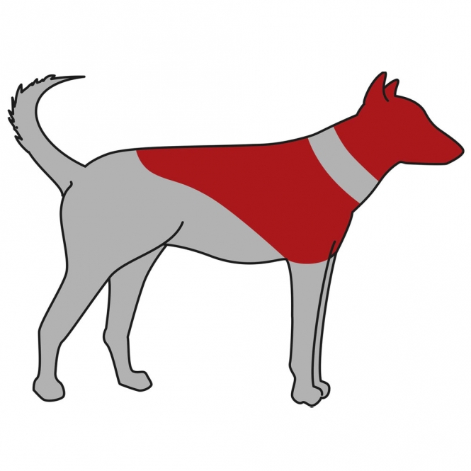 19540-trxi-var-1_zzh7-zo