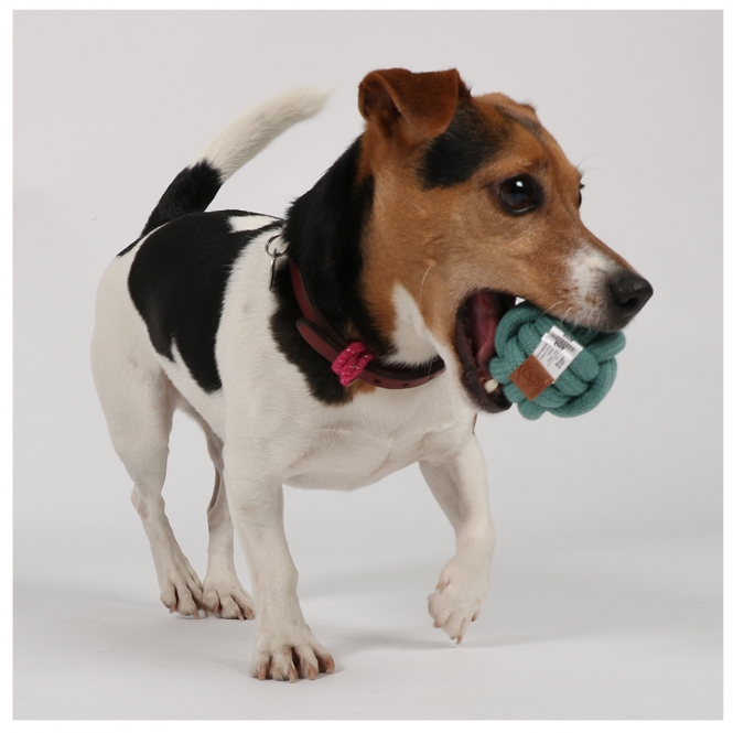 4047059480267_sc1_webl-1