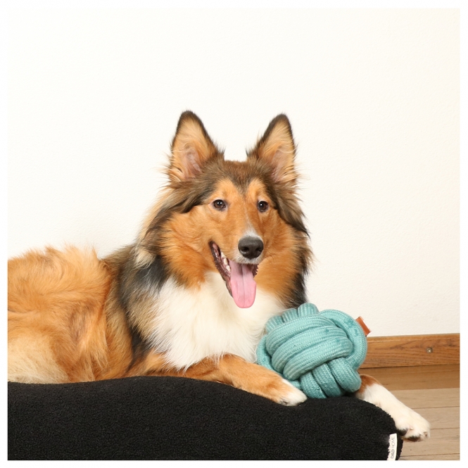 4047059480281_sc1_webl_jfve-5w