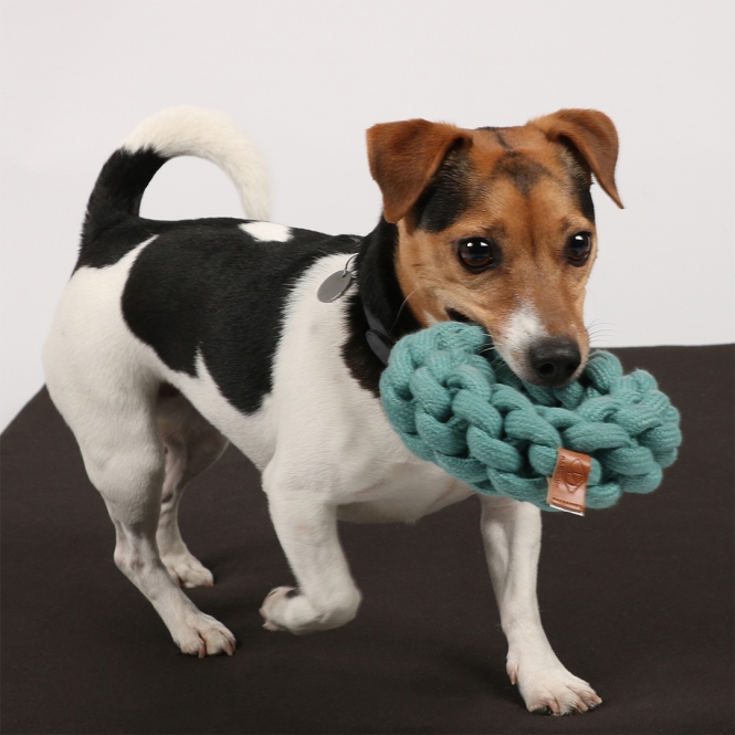 4047059480328_sc2_webl_4utj-rx-1