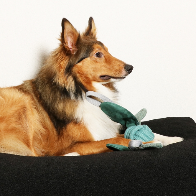 4047059480397_sc1_webl_wum9-9o-1