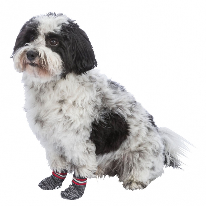 Trixie Hundesocken - Grau - XL – Bild 3