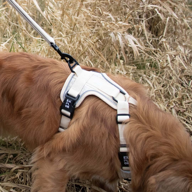 Duvoplus EXPLOR Ultimate Fit No-Pull-Geschirr - antique white - L - 48-58cm - 58-81cm – Bild 3