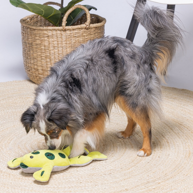 Beeztees Hide And Seek Frosch – Bild 3