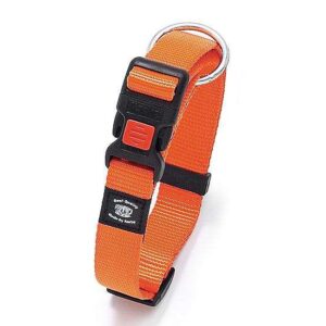 Karlie ASP Halsband verstellbar - Orange - 10 mm, 20-35 cm