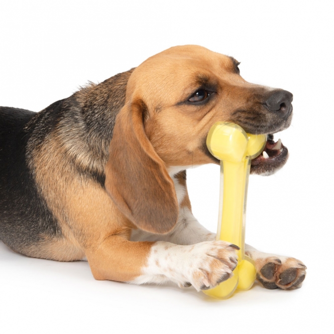 Zeus Duo Knochen mit Kokosnussduft – Bild 3