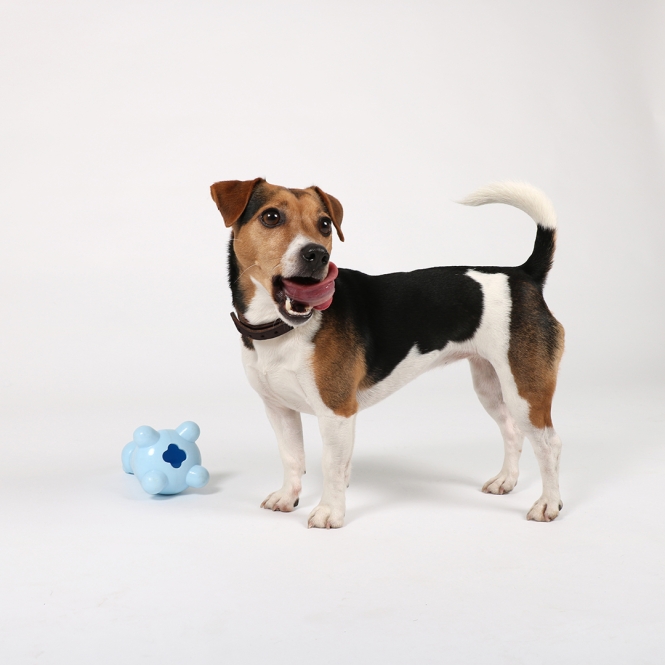 EBI Petit Welpen-Snackspielzeug Gigi - Rosa – Bild 4