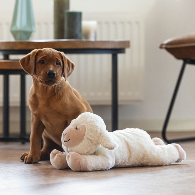 Beeztees Puppy Kuschelspielzeug Bowi – Bild 3